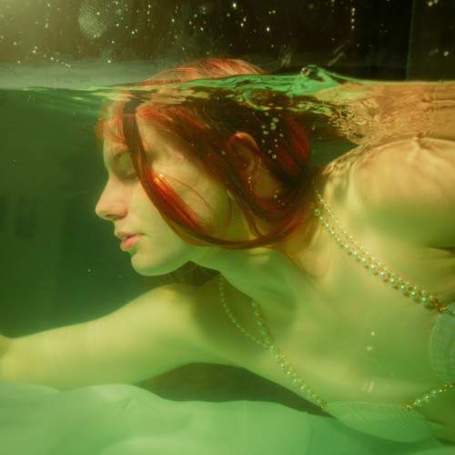 Photo #11597978