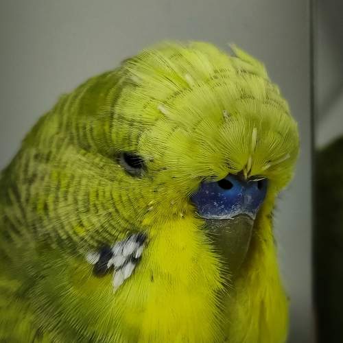 Photo #11598202