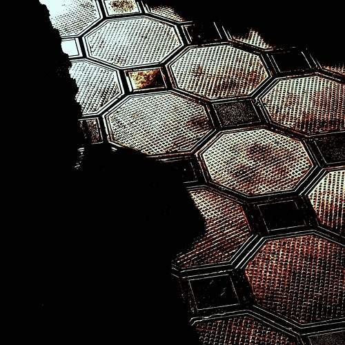 Photo #11598500