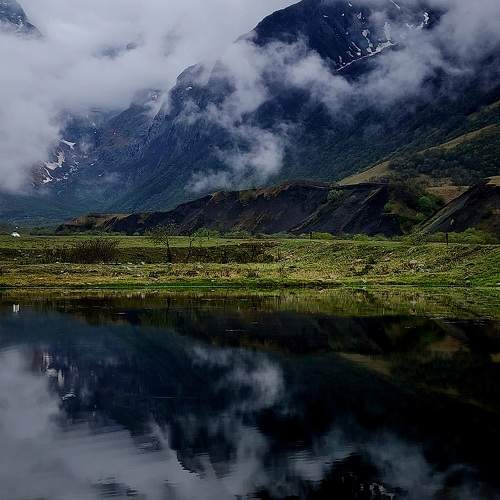 Photo #11598687
