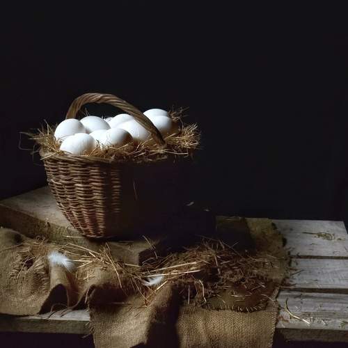 Photo #11598769