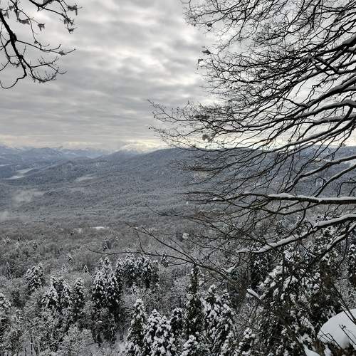 Photo #11599320