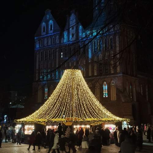 Photo #11599382