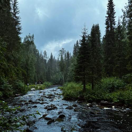 Photo #11599761
