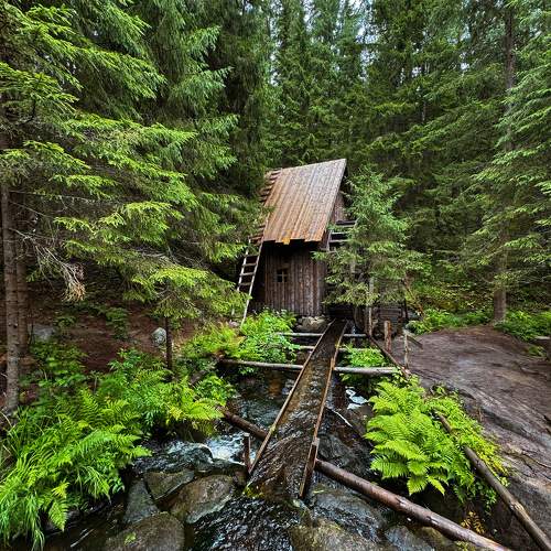 Photo #11599762