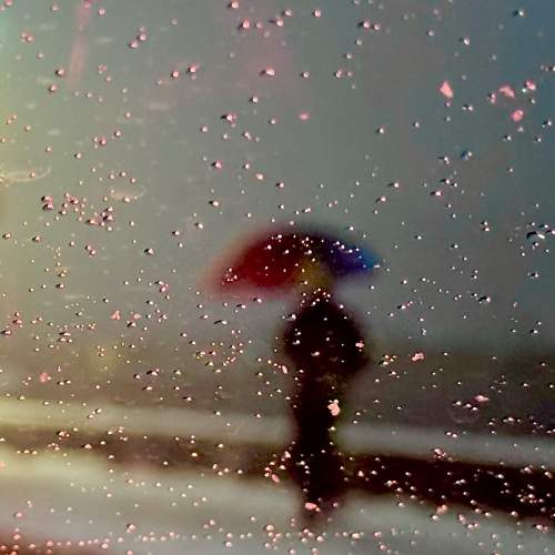 Photo #11599953