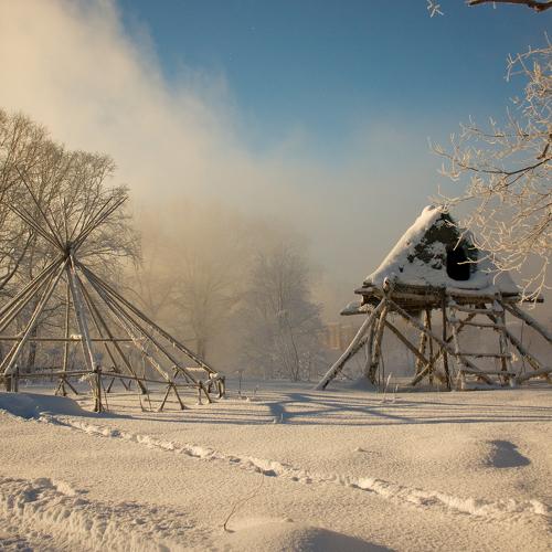 местная народная изба