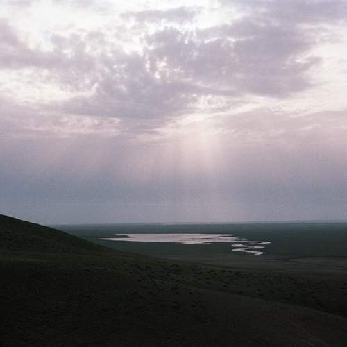 Photo #11600430