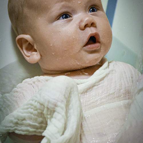 Photo #11600653