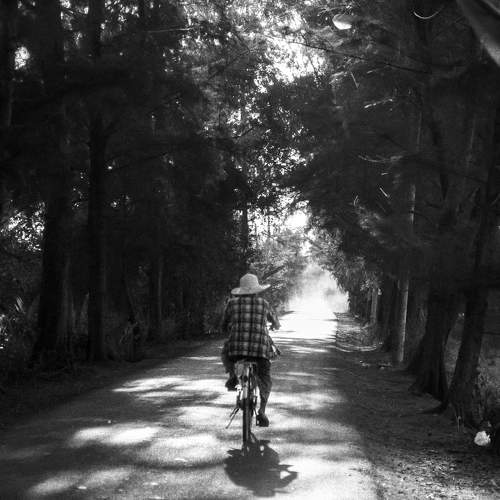 Photo #11600938