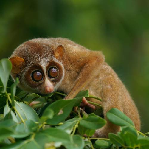 Photo #11601002