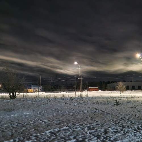 Photo #11601174