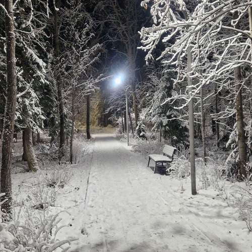 Photo #11601202