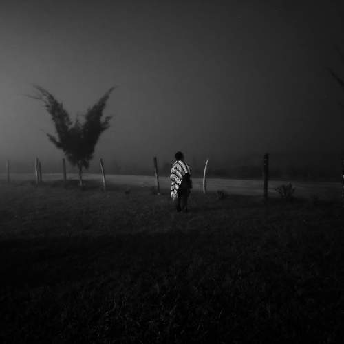Photo #11601469