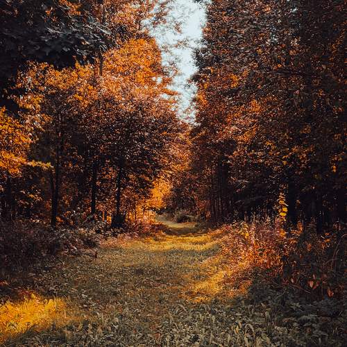 Photo #11601607