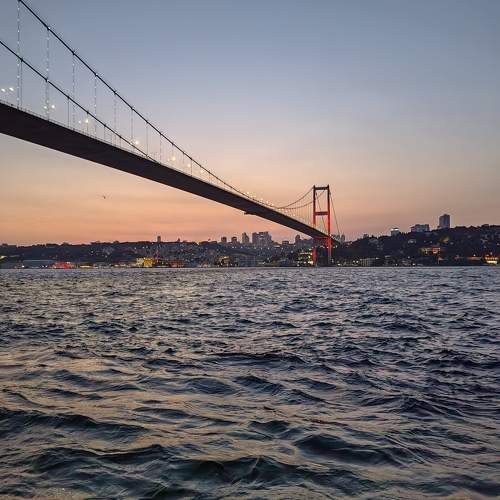 Photo #11601973