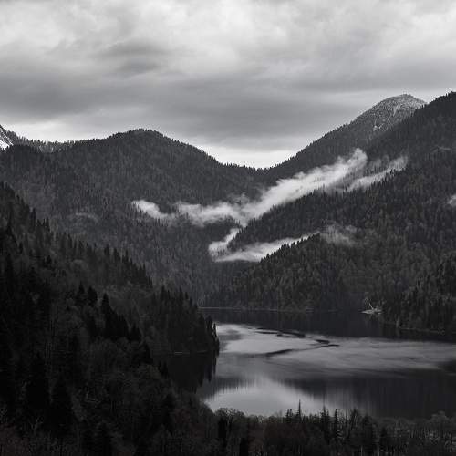 Photo #11602384