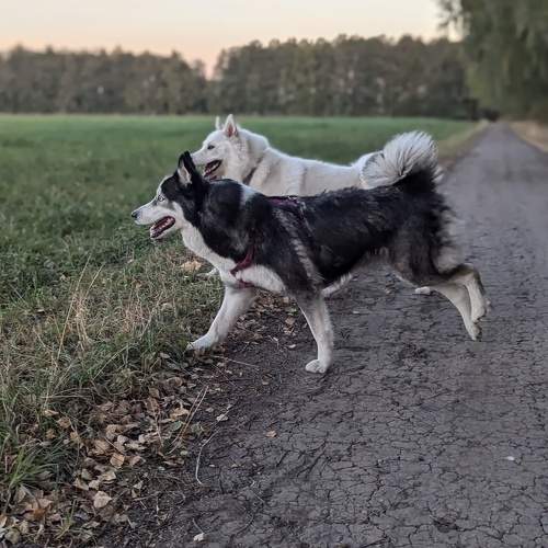 Photo #11602841