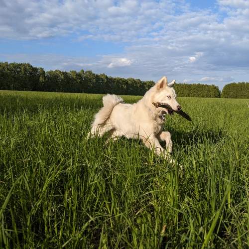 Photo #11602842