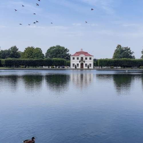 Photo #11602954