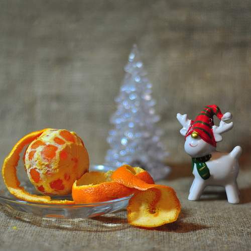 Photo #11603031