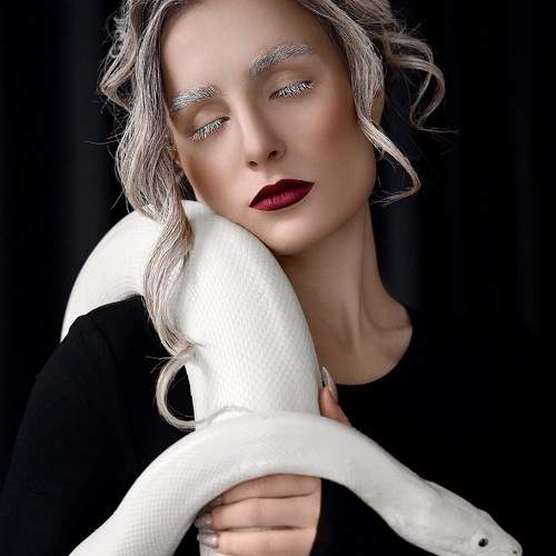 Photo #11603178