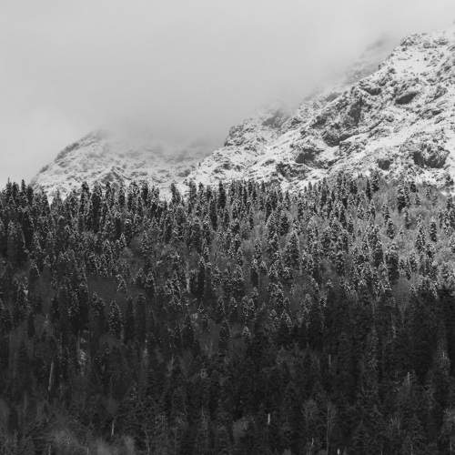 Photo #11603494