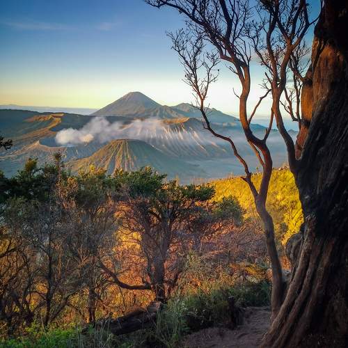 Bromo Golden Morning
