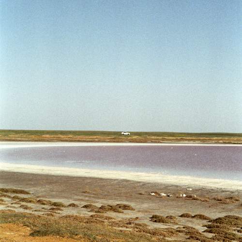 Photo #11603673