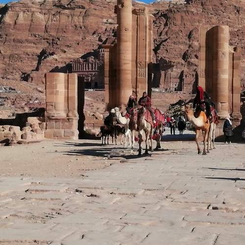 Photo #11603699