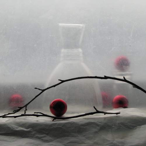 Photo #11603925