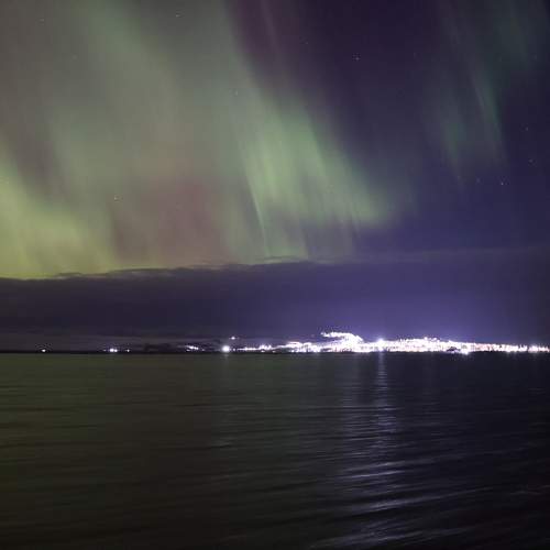 Photo #11604025