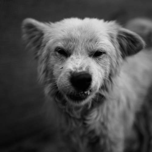 Smile