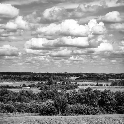 Photo #11605442