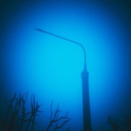 Photo #11605499