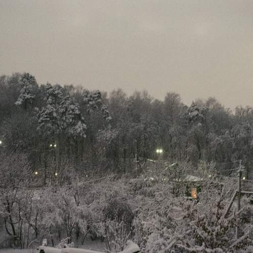 Photo #11605676