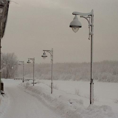 Photo #11605678