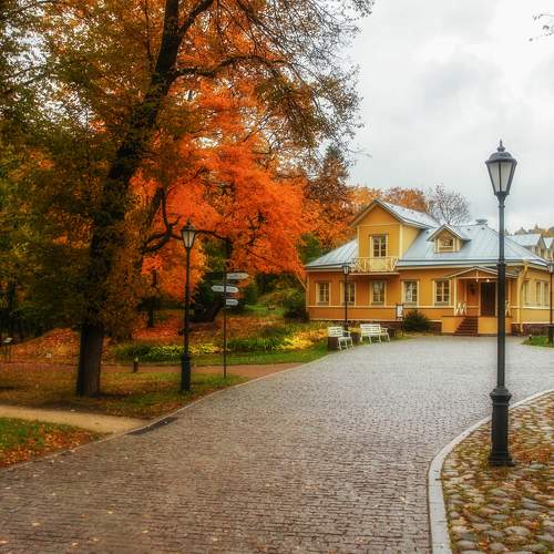 Photo #11606112