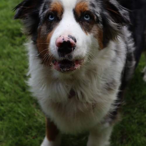Photo #11606310