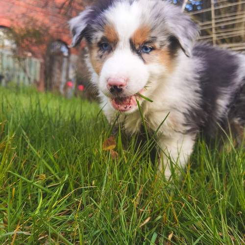 Photo #11606349