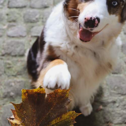 Photo #11606369