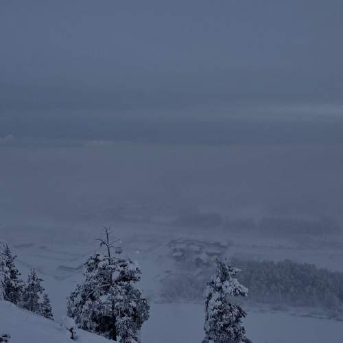 Photo #11606372