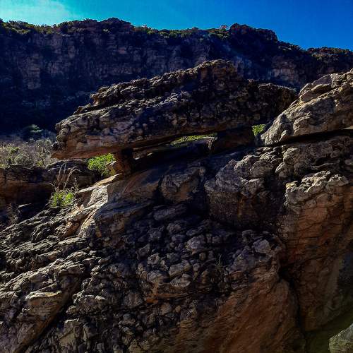 Photo #11606382