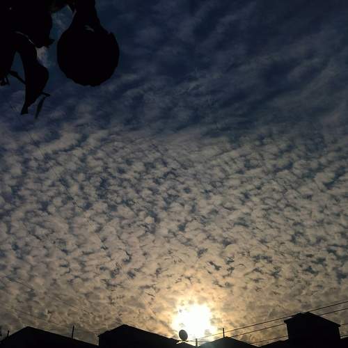 Photo #11606400
