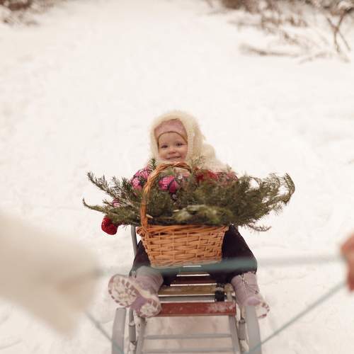 Photo #11606457