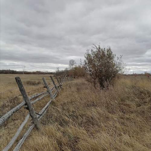 Photo #11606464