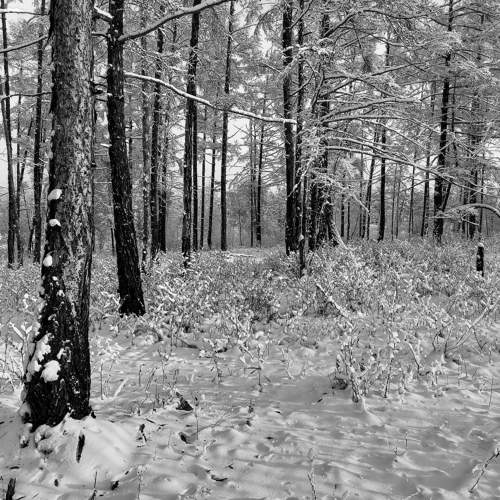 Photo #11606577