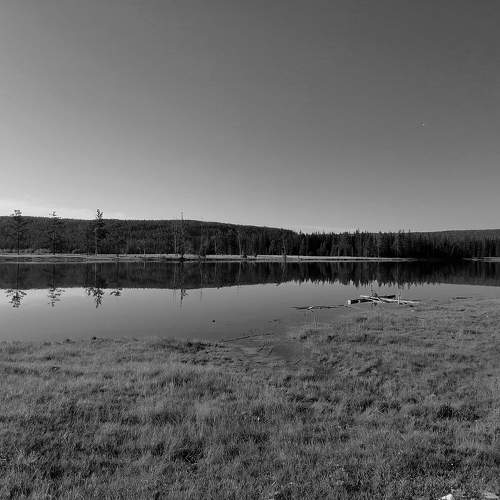 Photo #11606595