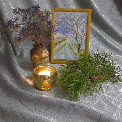 Photo #11606605