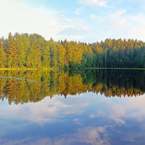 Photo #11606641